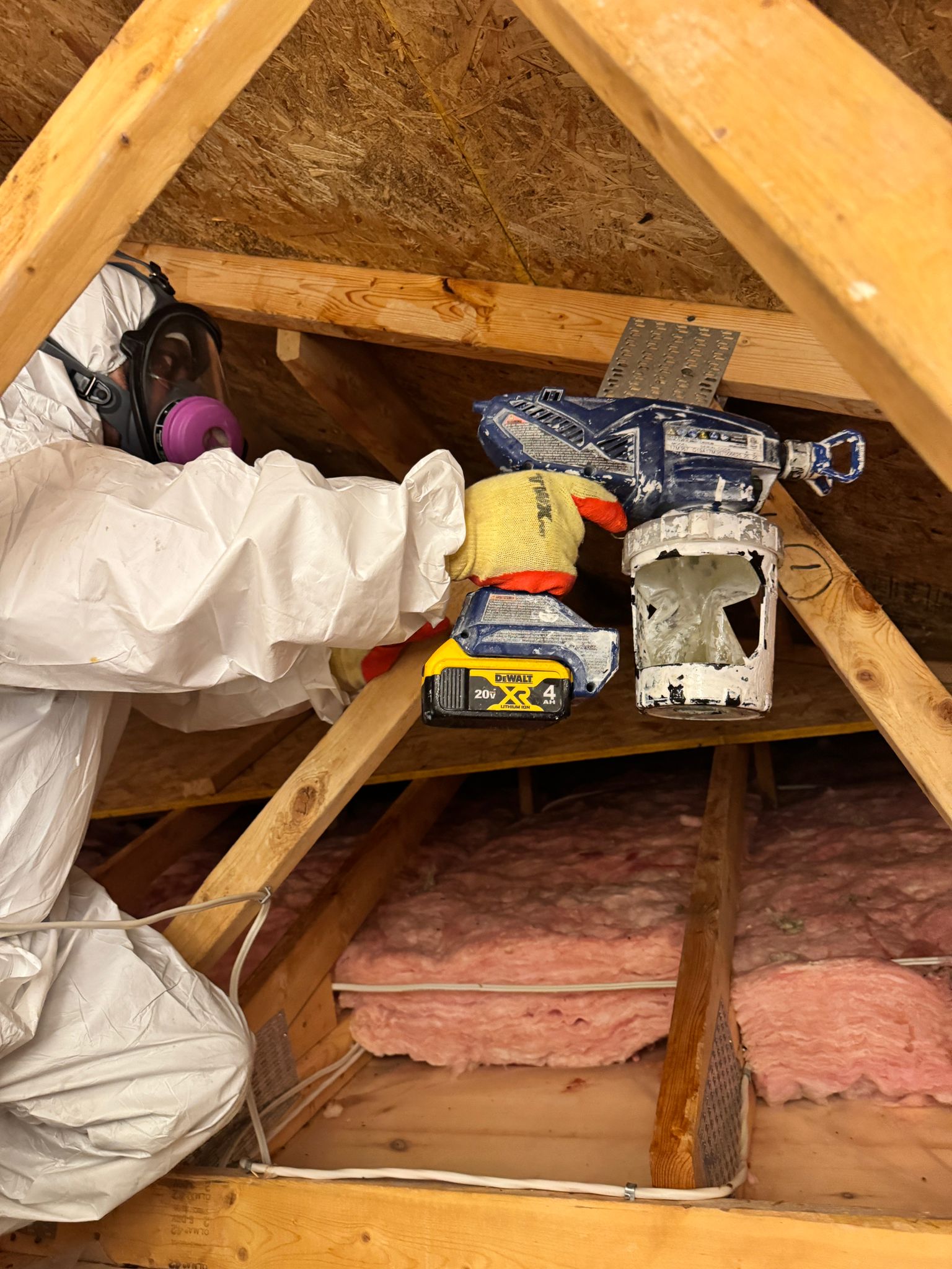 Mold remediation attic Toronto