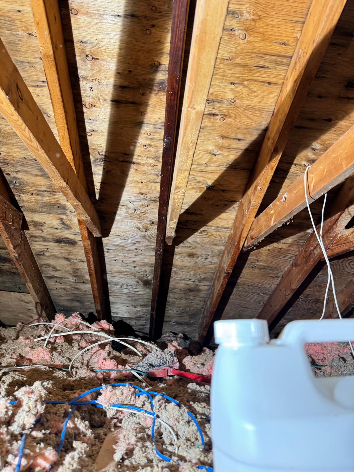 Asbestos removal Scarborough